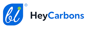 activecarbons.com