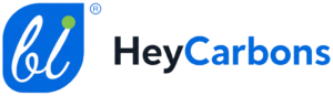 activecarbons.com